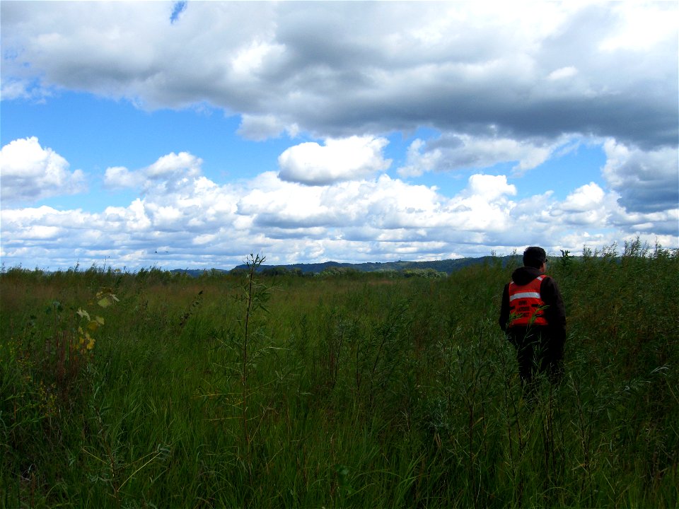 Dave Warburton on Pool 8 Island, Upper Mississippi River National Fish and Wildlife Refuge