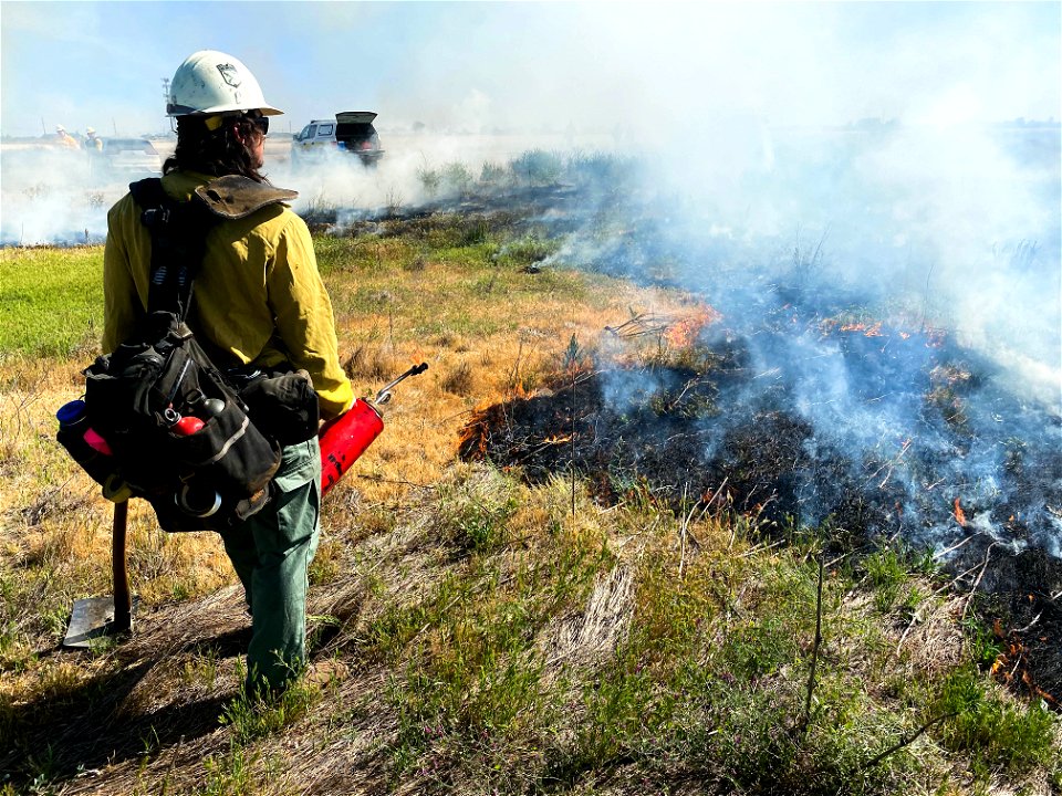 BLM’s Folsom Lake Veterans Crew perform RX Burn at Cosumnes River Preserve restoring critical habitat.
