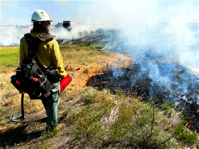 BLM’s Folsom Lake Veterans Crew perform RX Burn at Cosumnes River Preserve restoring critical habitat.