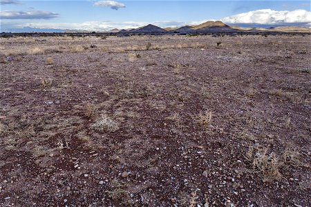 Southwest bajada of the Pyramid Mountains