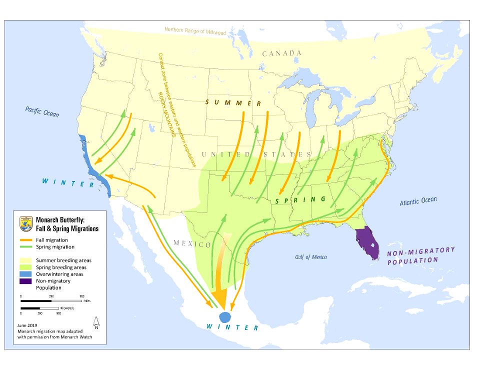 Monarch migration map