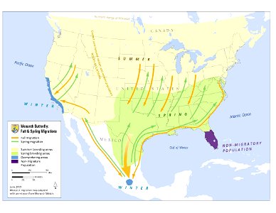 Monarch migration map photo