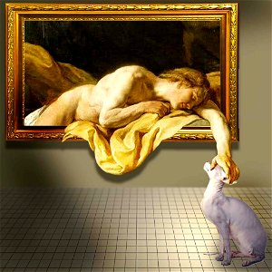 Narcissus and the cat photo