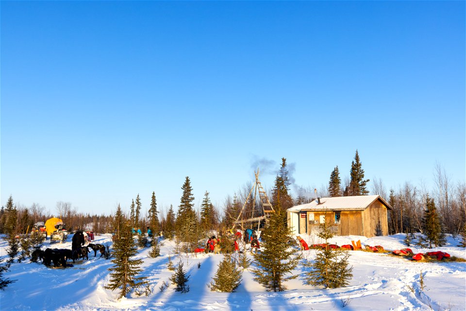 Kobuk 440 racers at Paniqsigvik shelter cabin.