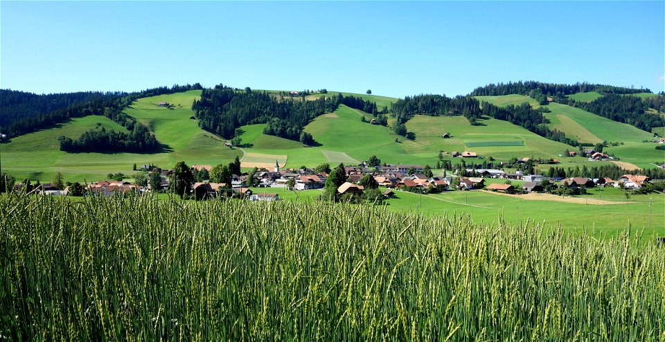DSC05944
