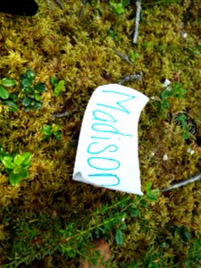 2015_Tetlin_SC_SsingYourselfinNature (6)