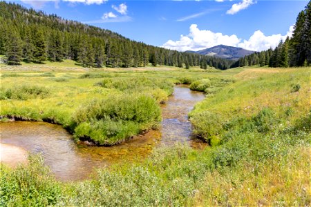Fawn Creek and Sepulcher Mountain