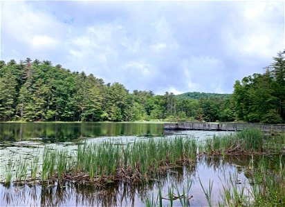Lake Sherwood