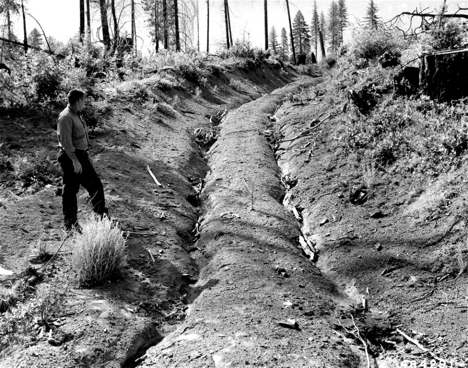 484291-logging-road-erosion-umpqua-nf-or-1957jpg_49385802697_o