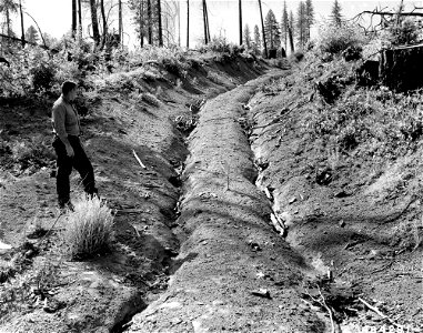 484291-logging-road-erosion-umpqua-nf-or-1957jpg_49385802697_o
