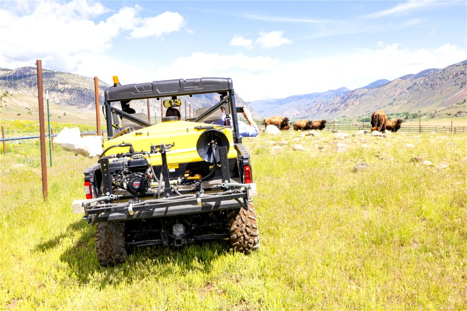 DOI Deputy Secretary Visit: DOI Deputy Secretary Visit: Bison program coordinator, Chris Geremia,  DOI Deputy Secretary, Tommy Beaudreau, on bison operations at Stephens Creek (2)