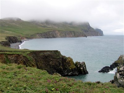 Hall Island Coastline photo