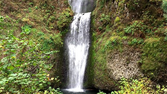 Multnomah Falls Video, Columbia River Gorge National Scenic Area photo