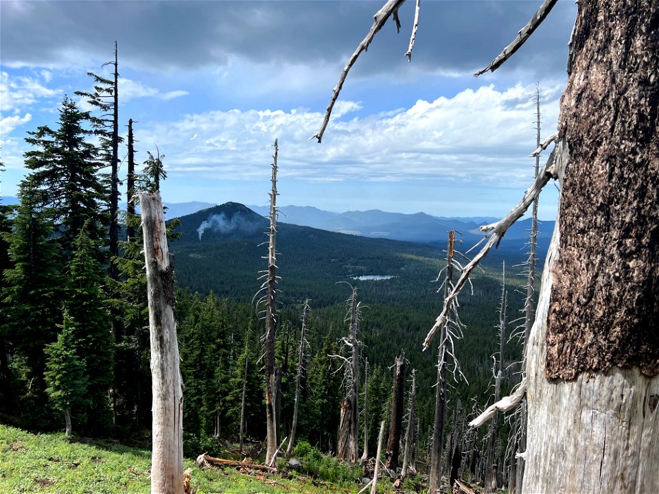 New Smoke report Willamete National Forest 080922