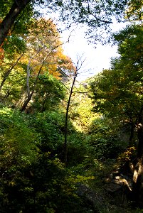 Deoksungsan Mountain