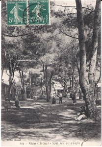 Sous-bois de La Capte à Hyères
