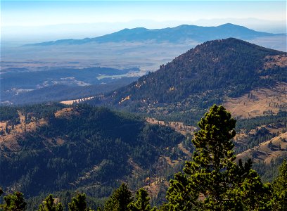 Mountains and trees from Judith Peak photo