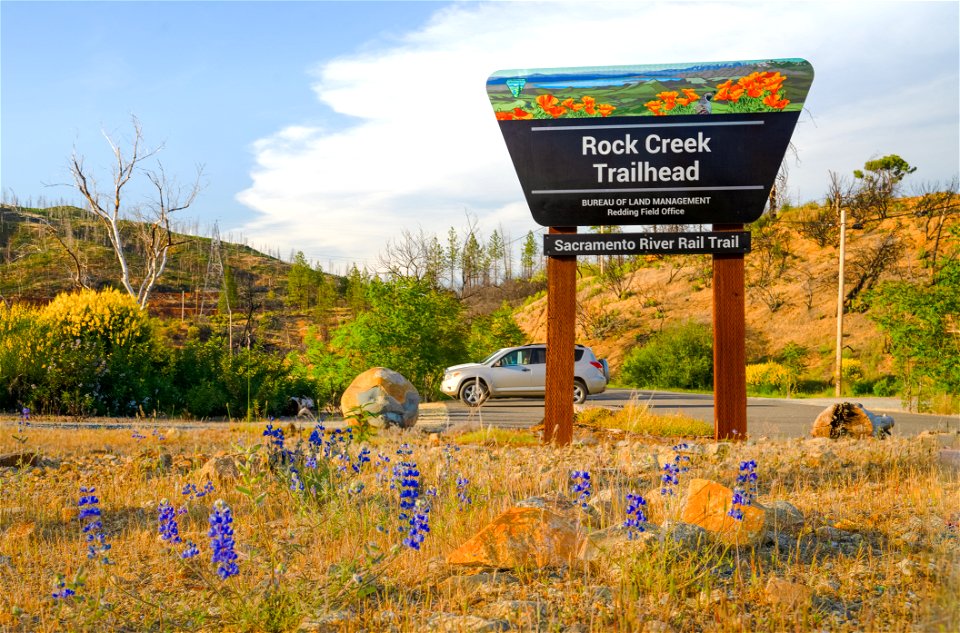 Sacramento River Rail Trail