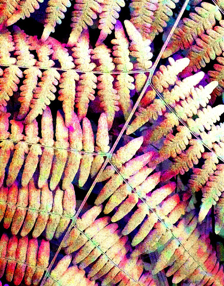 PHOTOSHOP WATERCOLOR STUDIES - Dust on roadside plants, del norte co, ca -17