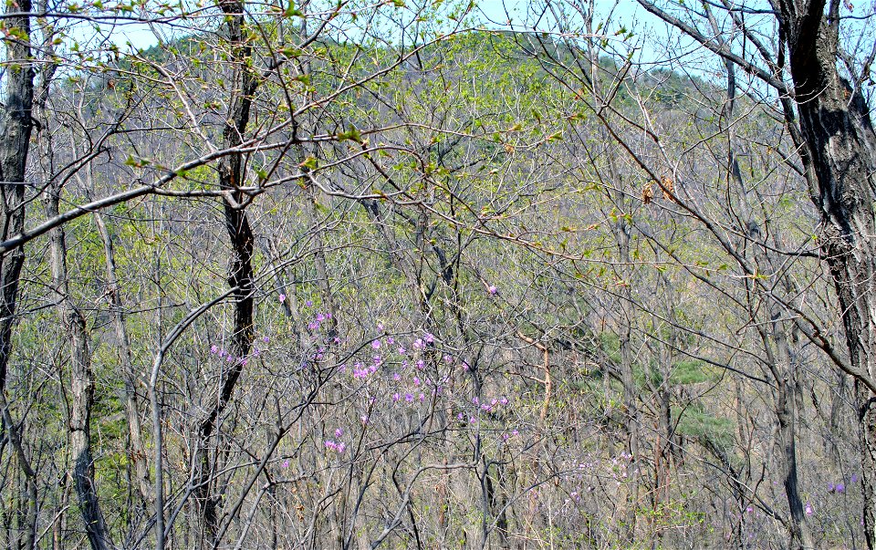 Taejosan Mountain