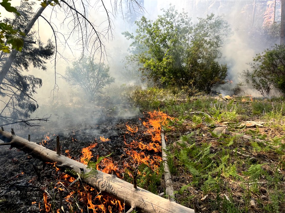 Miller Fire (2023)
