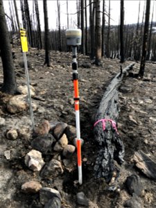 2021 BLM Fire Employee Photo Contest Category: ESR and BAER photo