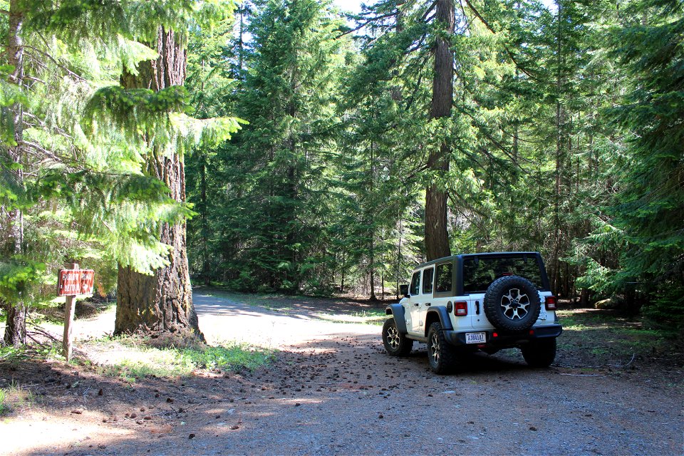 Forest Creek Campground, Mt. Hood National Foreset