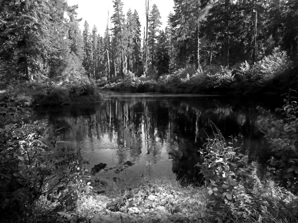 ROGUE RIVER CAMPSITE (8-6-2021) upper rogue river, jackson co, or -02 BW