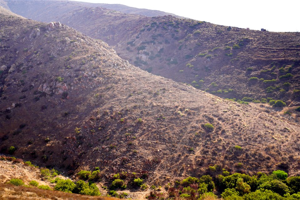 Otay Mountain Wilderness photo