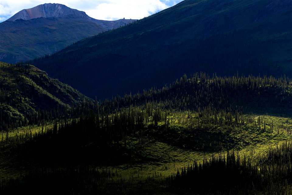 Foothills of the Brooks Range photo