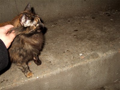 182