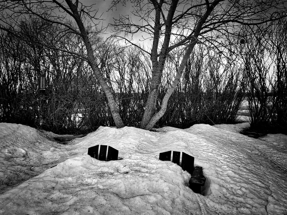 Has Anyone Seen the Chairs?