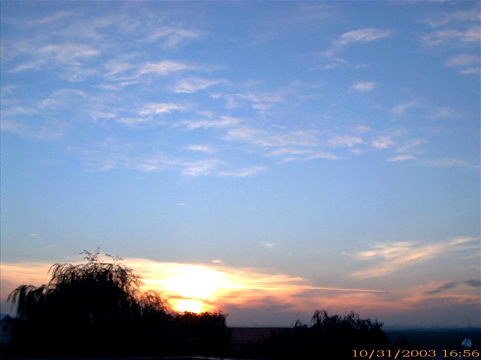 apus-caleavitan2003_1103_091106_17333689045_o