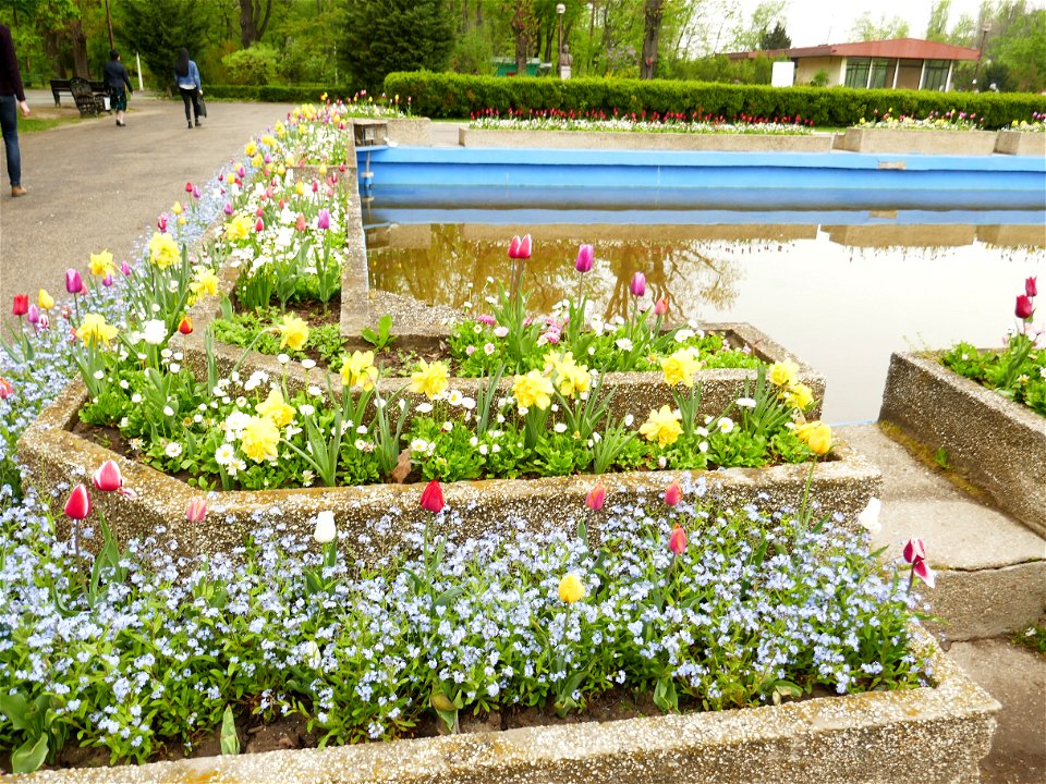 Herestrau Park in spring (76)
