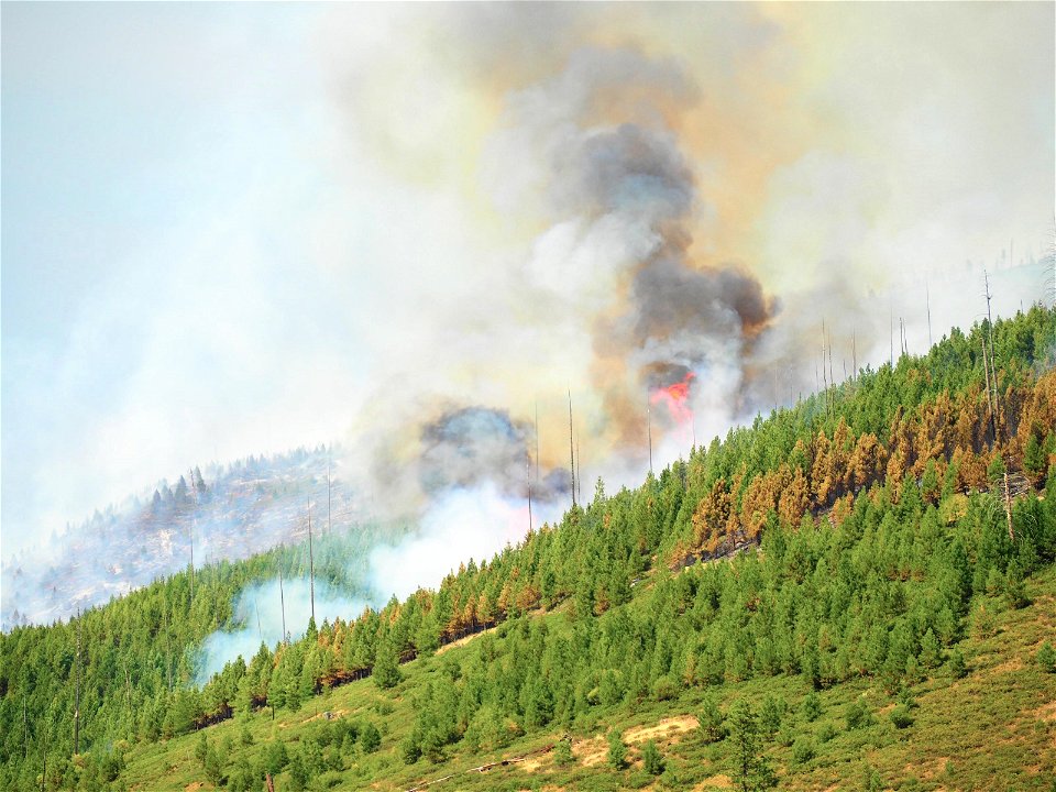 crocketsknobfire_thick fuels_083022