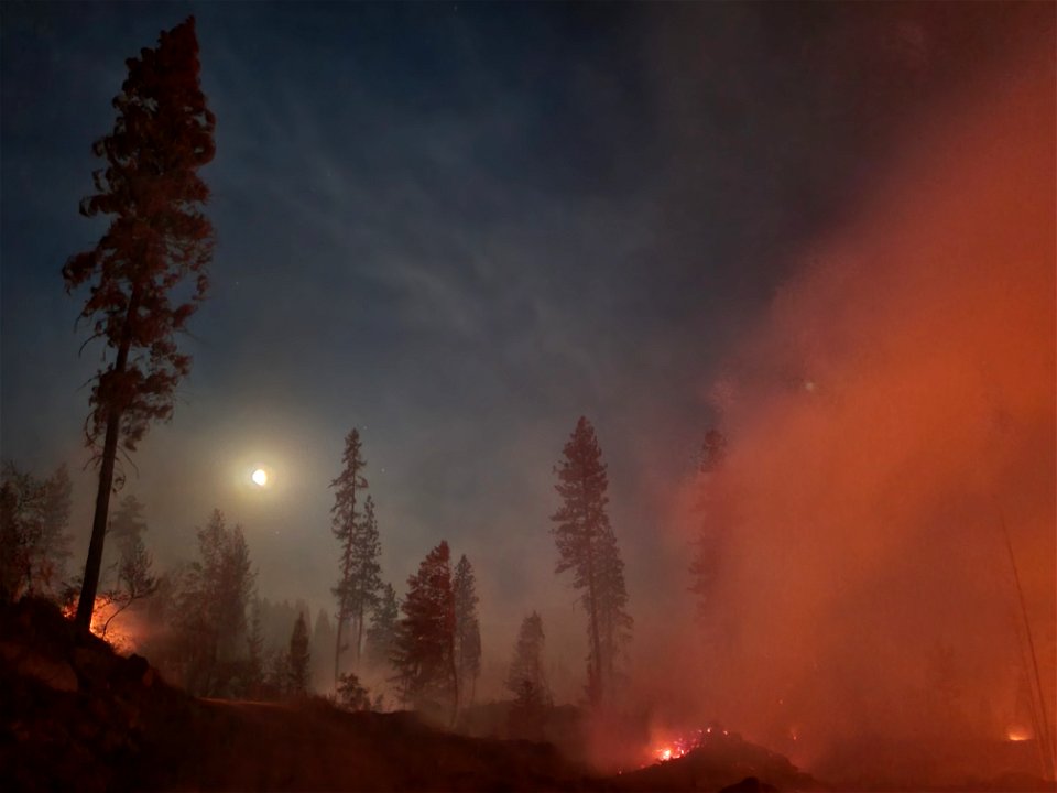 Litte Pine Fire