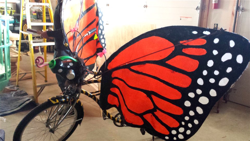 Monarchs will glide around the ice.