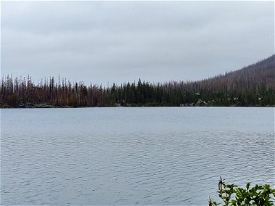 Olallie Lake on Mt. Hood National Forest photo