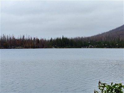 Olallie Lake on Mt. Hood National Forest