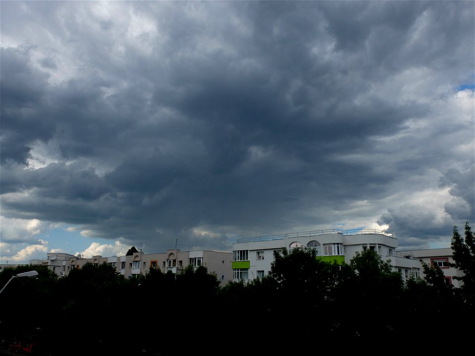 nori-sediu2015_0526_164850