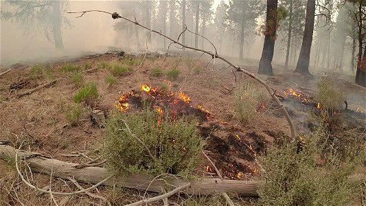 BootlegFire_sawyer_071921