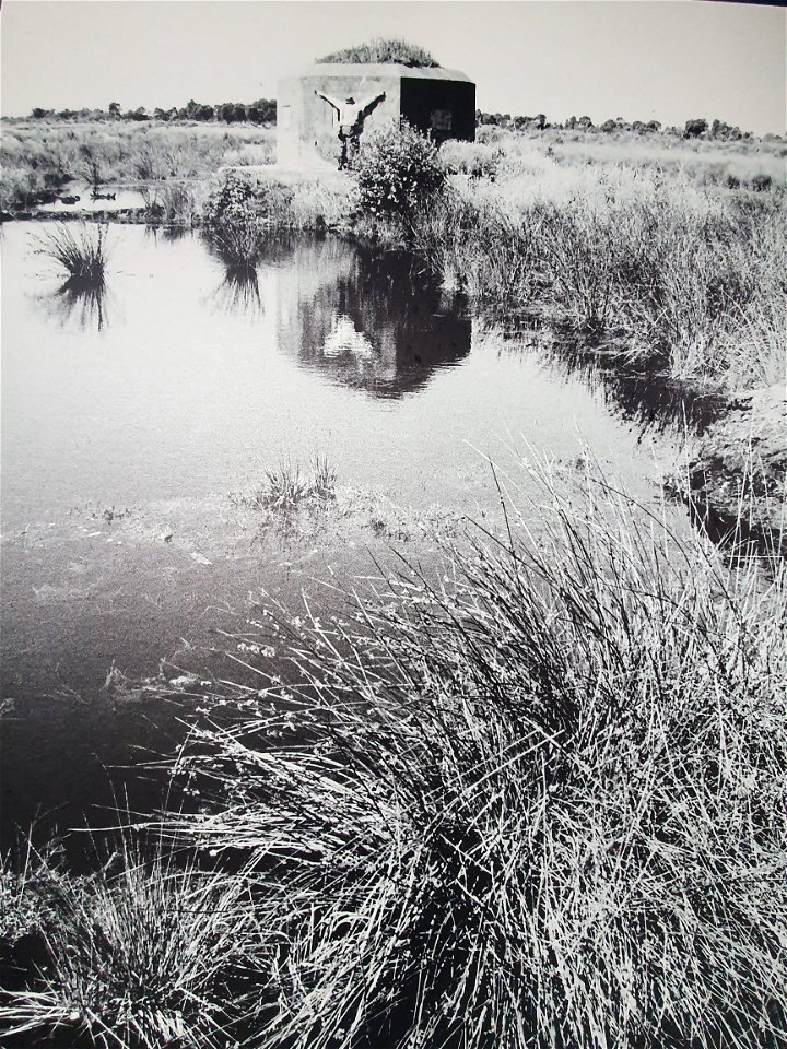 Joseph Beuys in het peelmoeras van Meijel, Aktion im Moor 1971