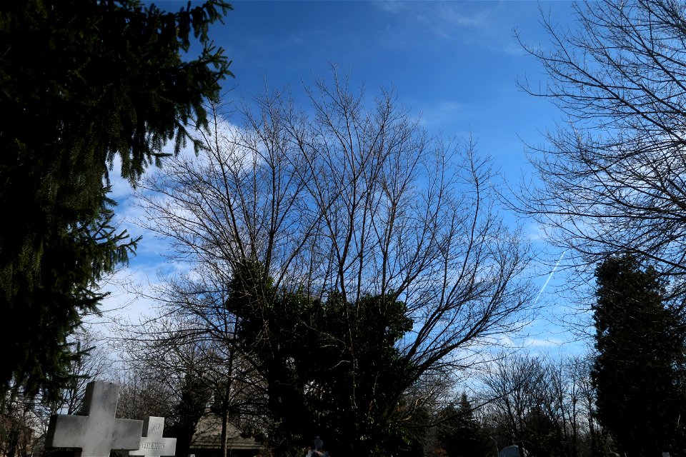 cimit_SfVineri2023_0221_123947