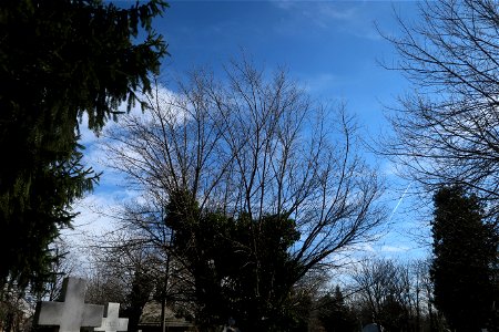 cimit_SfVineri2023_0221_123947