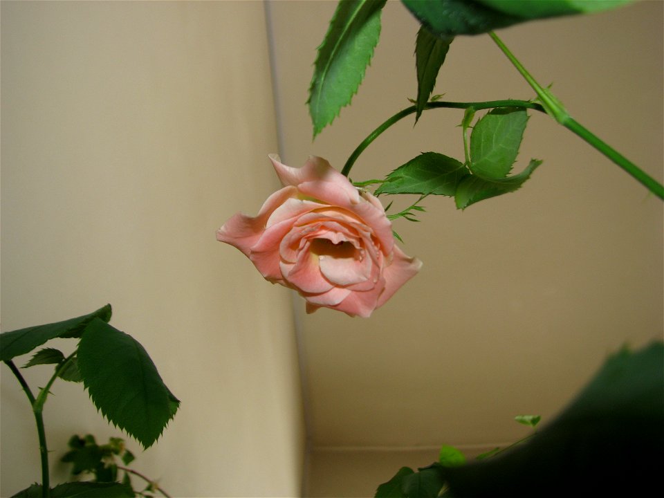 minitrandaf_fab2011_0302_132737