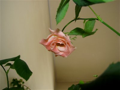 minitrandaf_fab2011_0302_132737