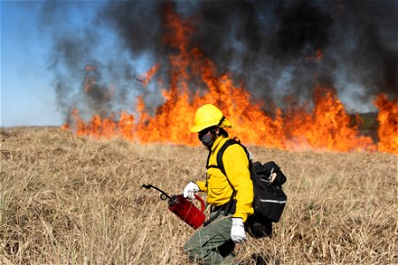 Siuslaw Oregon Dunes Prescribed Burn 2022