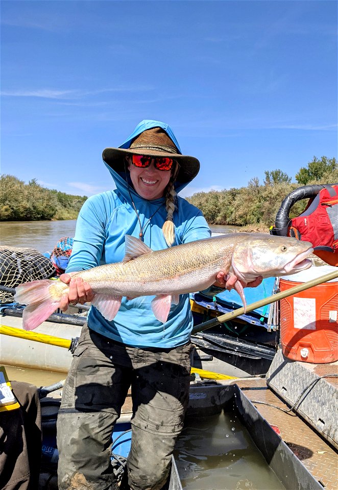 Colorado Pikeminnow