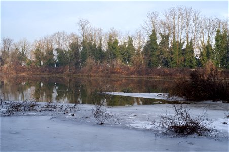 winter walk in the reserve photo