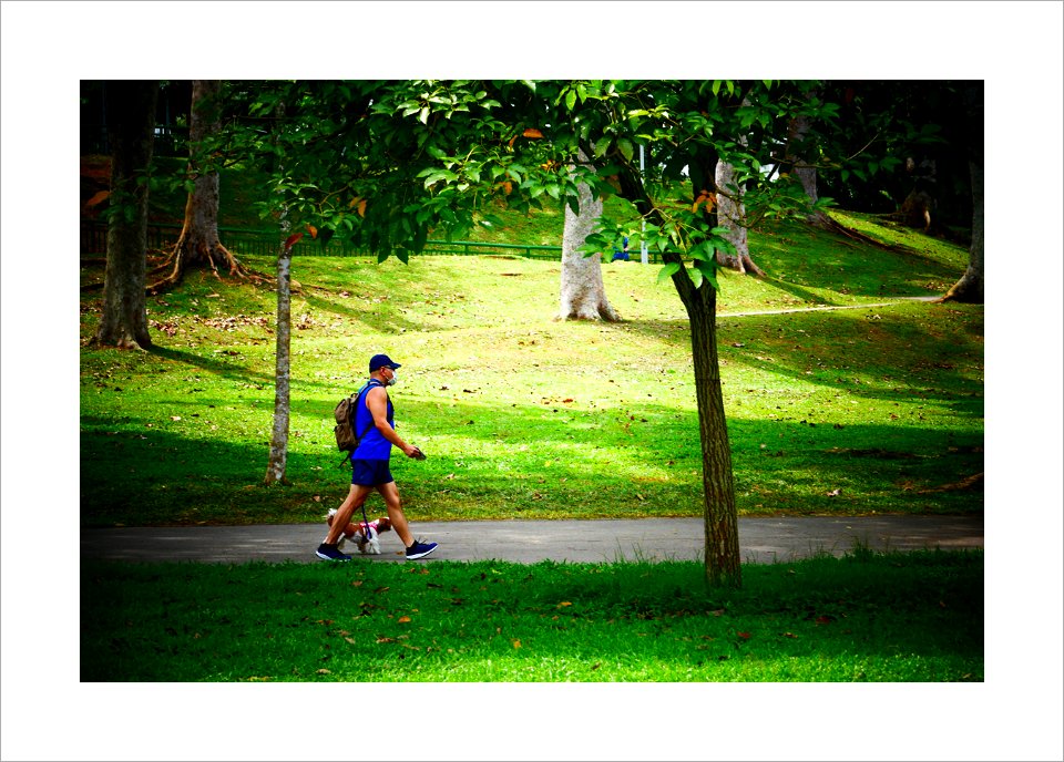 Garden and park - stay healthy